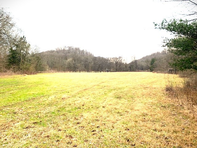 1102 Dog Tail Road Lynchburg, TN 37352 - Photo 68 of 70 Gallery Image 68