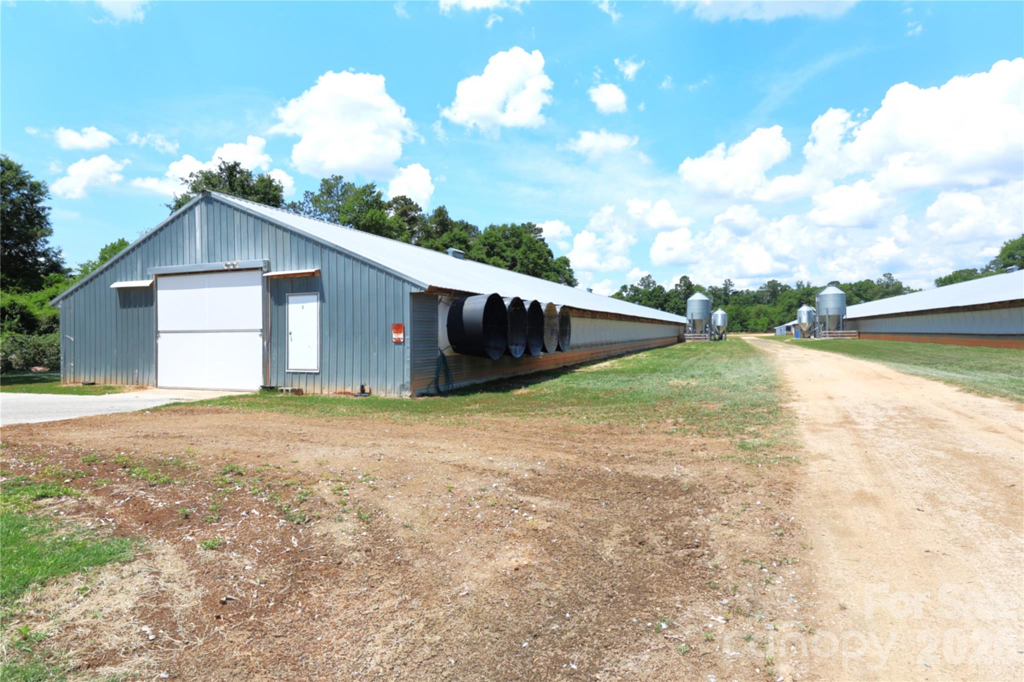 2121 Whitetail Road Blackville, SC 29817 - Photo 39 of 40 a backyard of a house with lots of green space