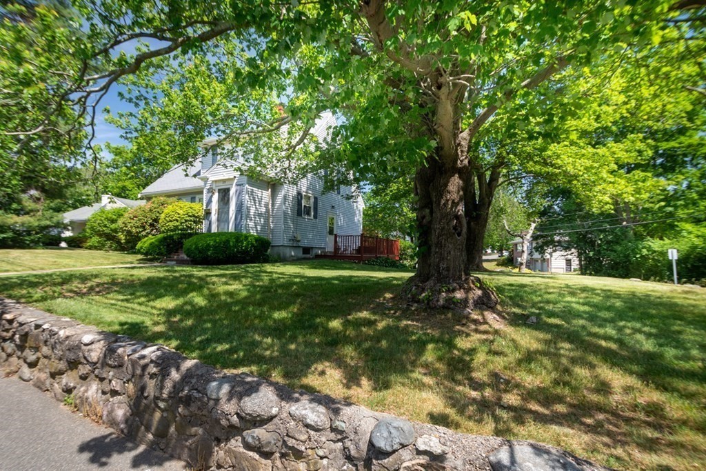 211 Broad Meadow Road Needham, MA 02492 - Photo 4 of 12