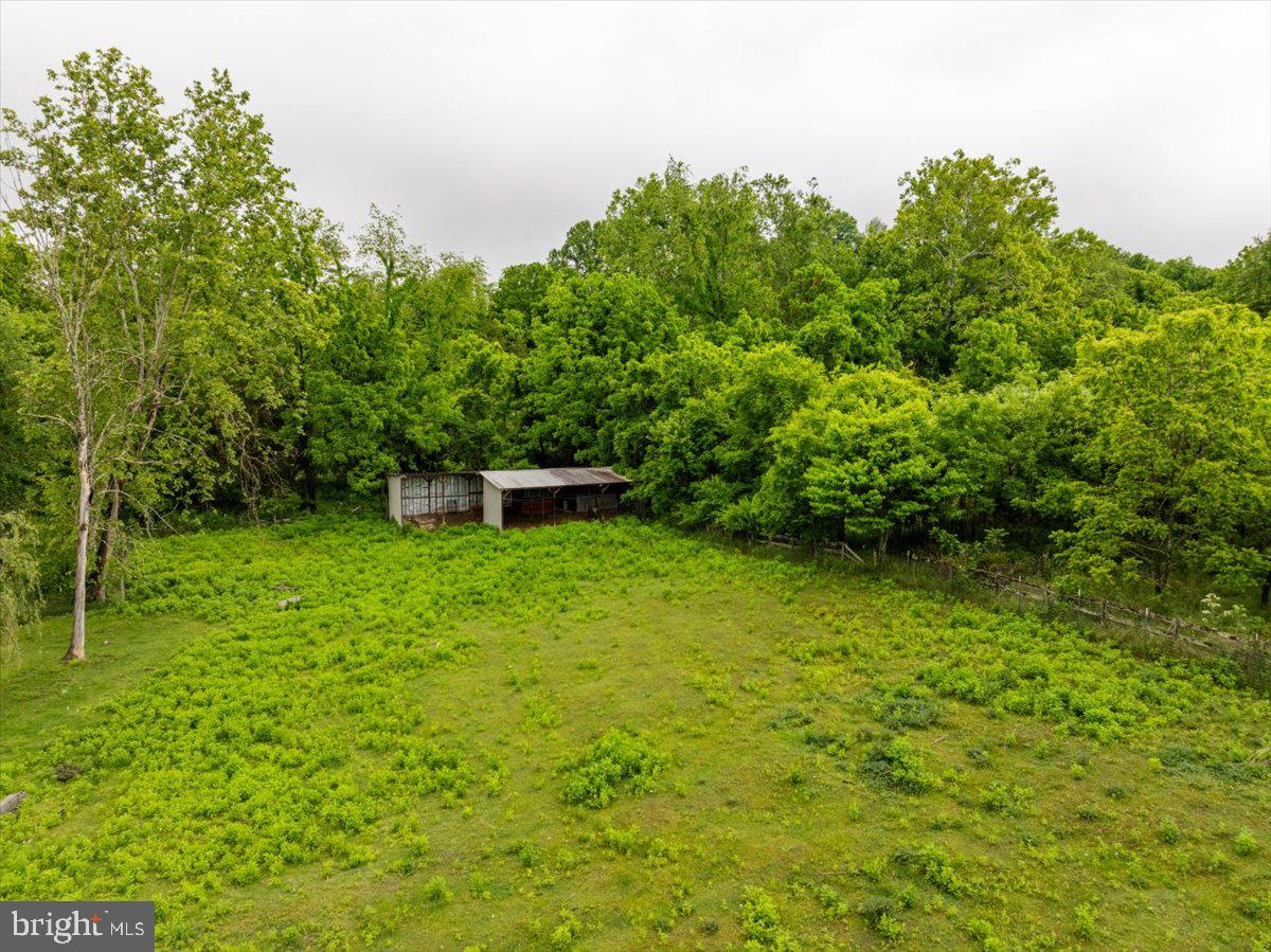 11419 Oak Grove Road Bristol, VA 24202 - Photo 35 of 36 a garden view