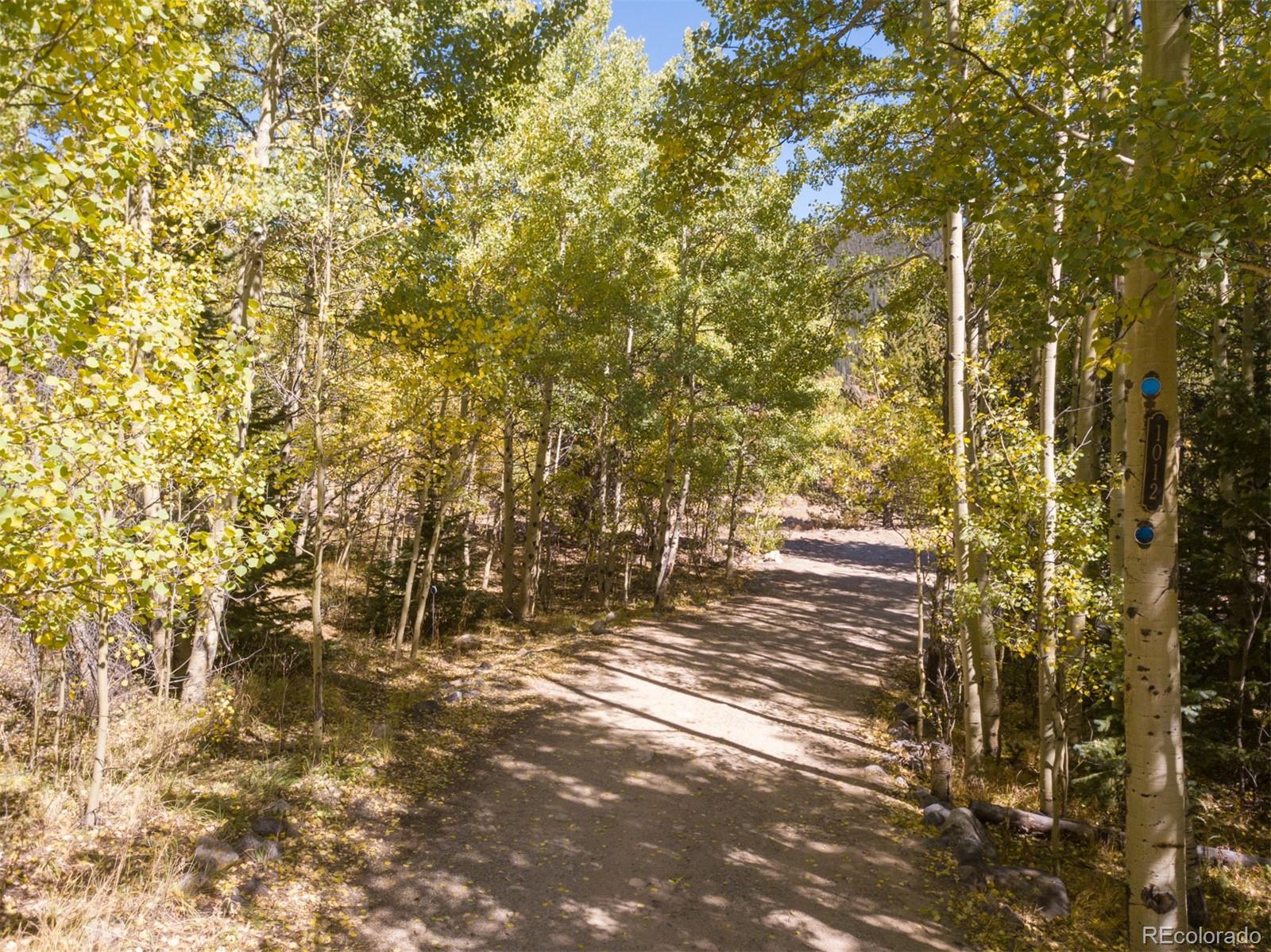 1012 Edgewood Road Alma, CO 80420 - Photo 18 of 35 Gallery Image 18