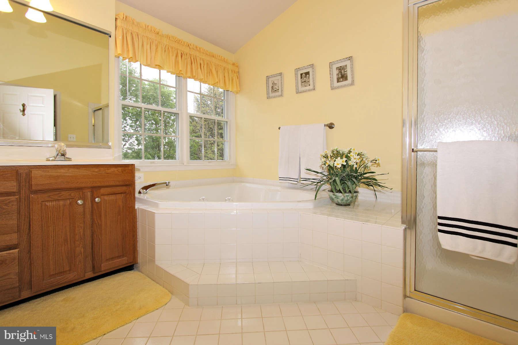 1305 Aldbury Way Reston, VA 20194 - Photo 19 of 30 Bath (Master)