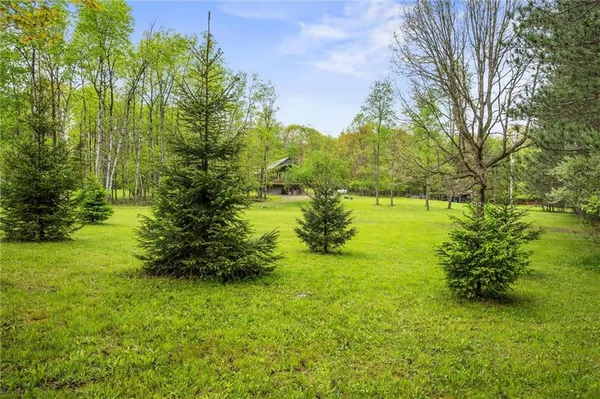 a view of a garden with a tree