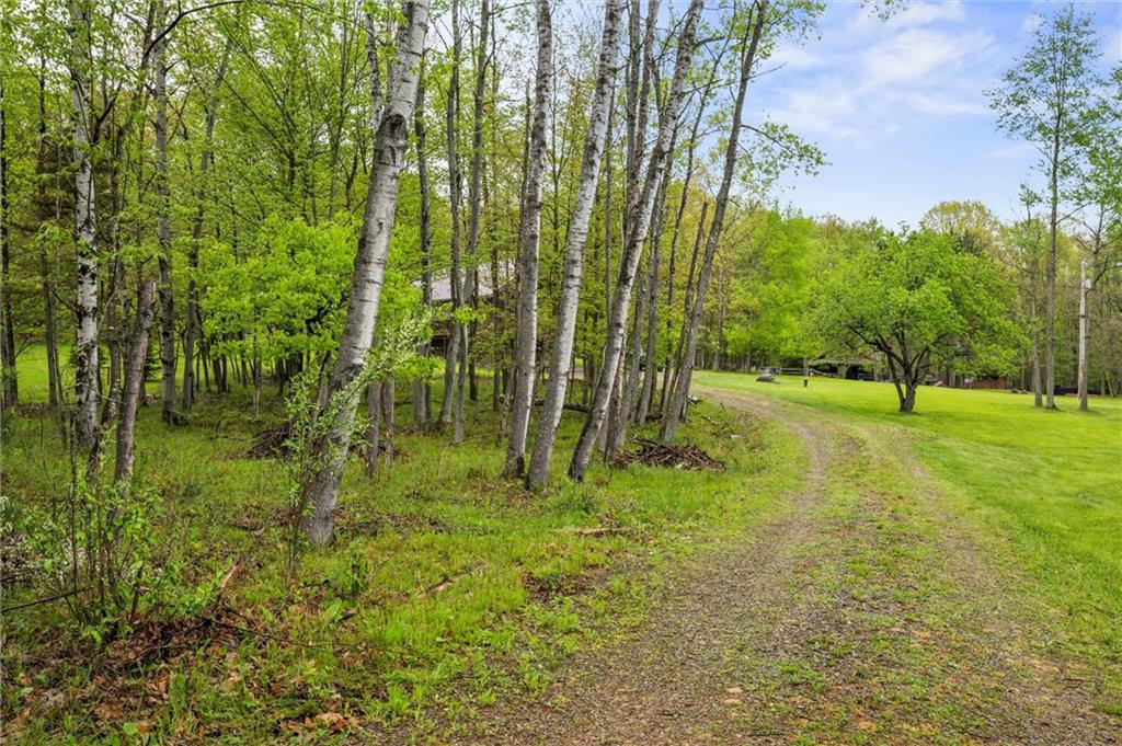 7191 Loleta Road Sigel, PA 15860 - Photo 41 of 47 a view of a garden with a tree