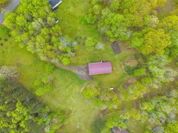 a view of a tree with a yard