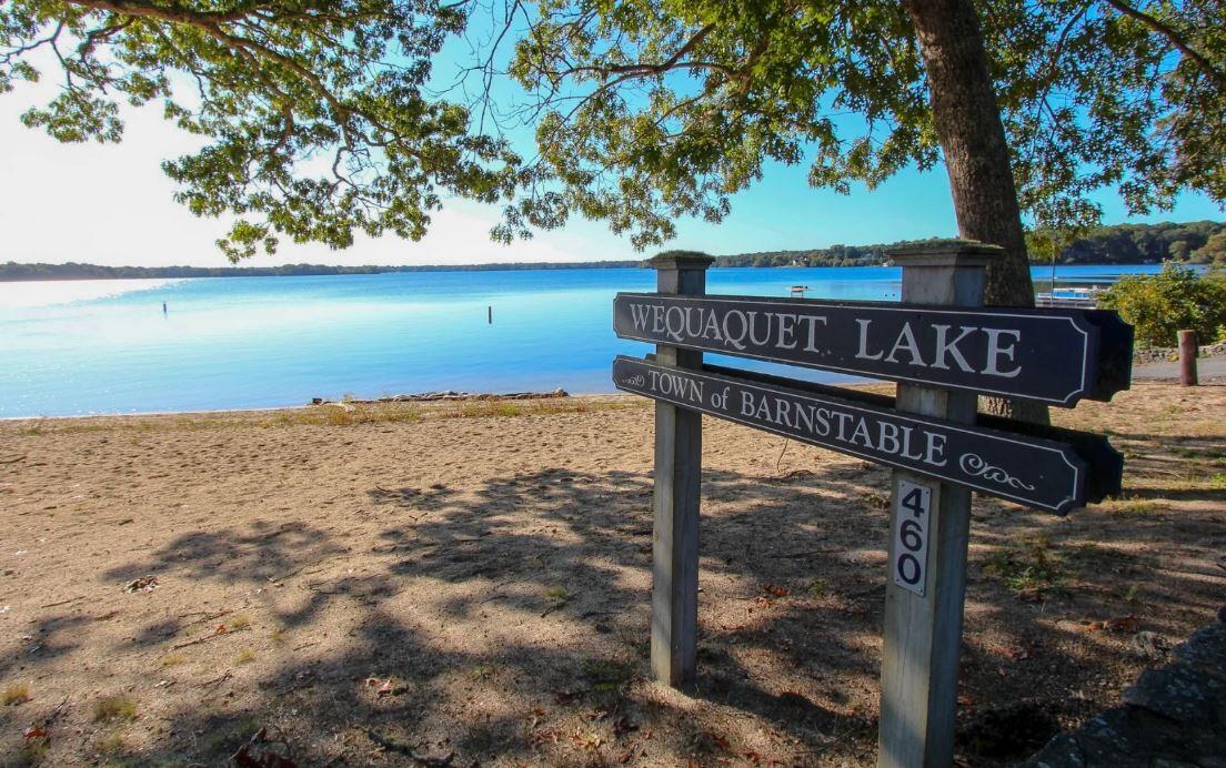 415 Shootflying Hill Road Centerville, MA 02632 - Photo 33 of 37 a view of a street sign under a large tree