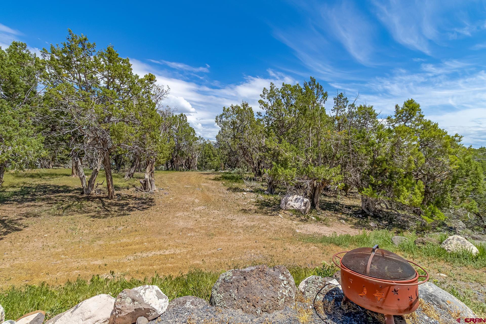 26986 Cactus Park Road Cedaredge, CO 81413 - Photo 35 of 43