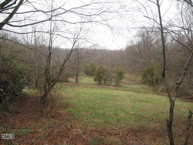 331 Perkins Road Southbury, CT 06488 - Photo 1 of 1 a view of a yard with large trees