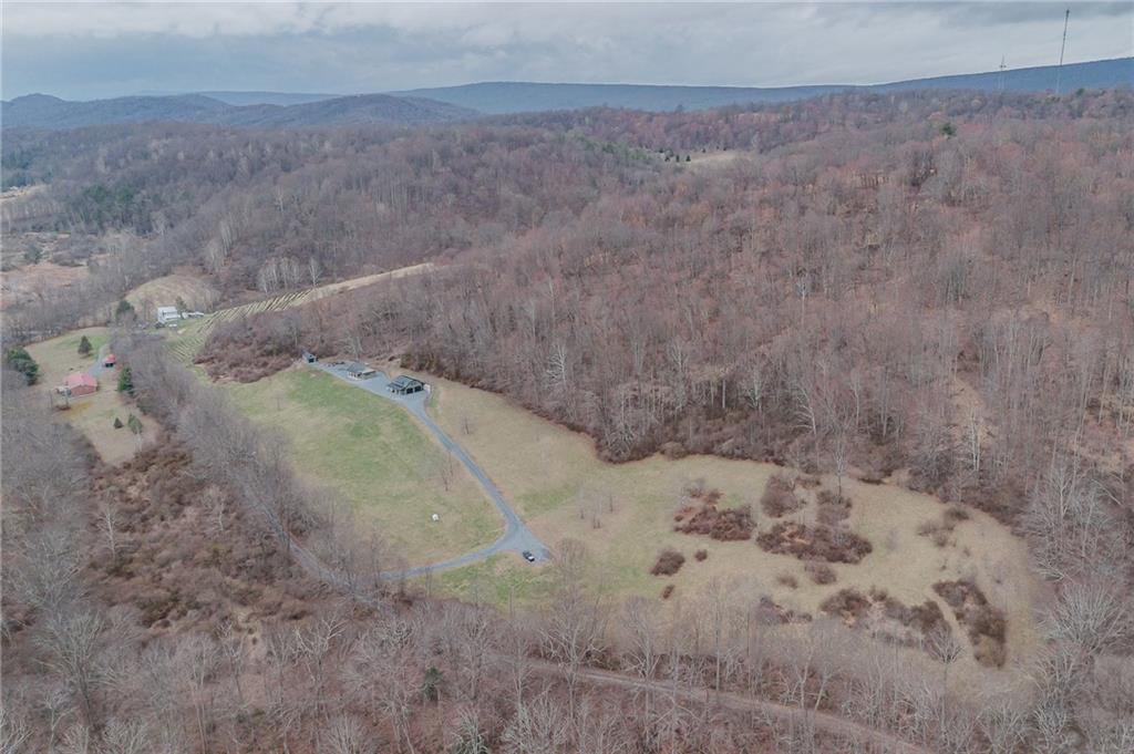 143 Chimney Ridge Road Bedford, PA 15522 - Photo 44 of 50 a view of a dry plant in a yard