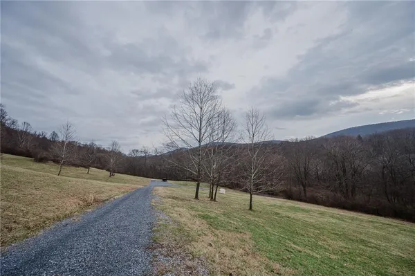 a view of a backyard