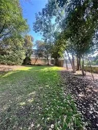 a view of a trees with a yard