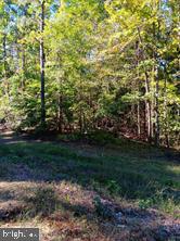 14th Street Estates Colonial Beach, VA 22443 - Photo 1 of 1 a view of a yard with plants and large trees