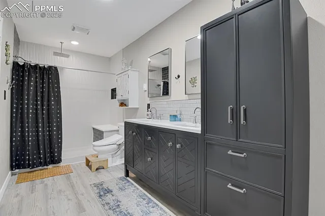 a bathroom with a sink a toilet and shower