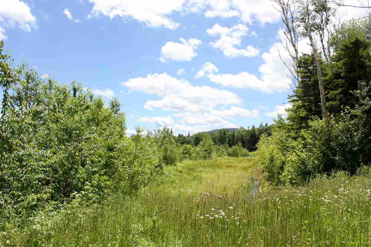 Valley View Extension, Unit 10 Andover, VT 05143 - Photo 3 of 27