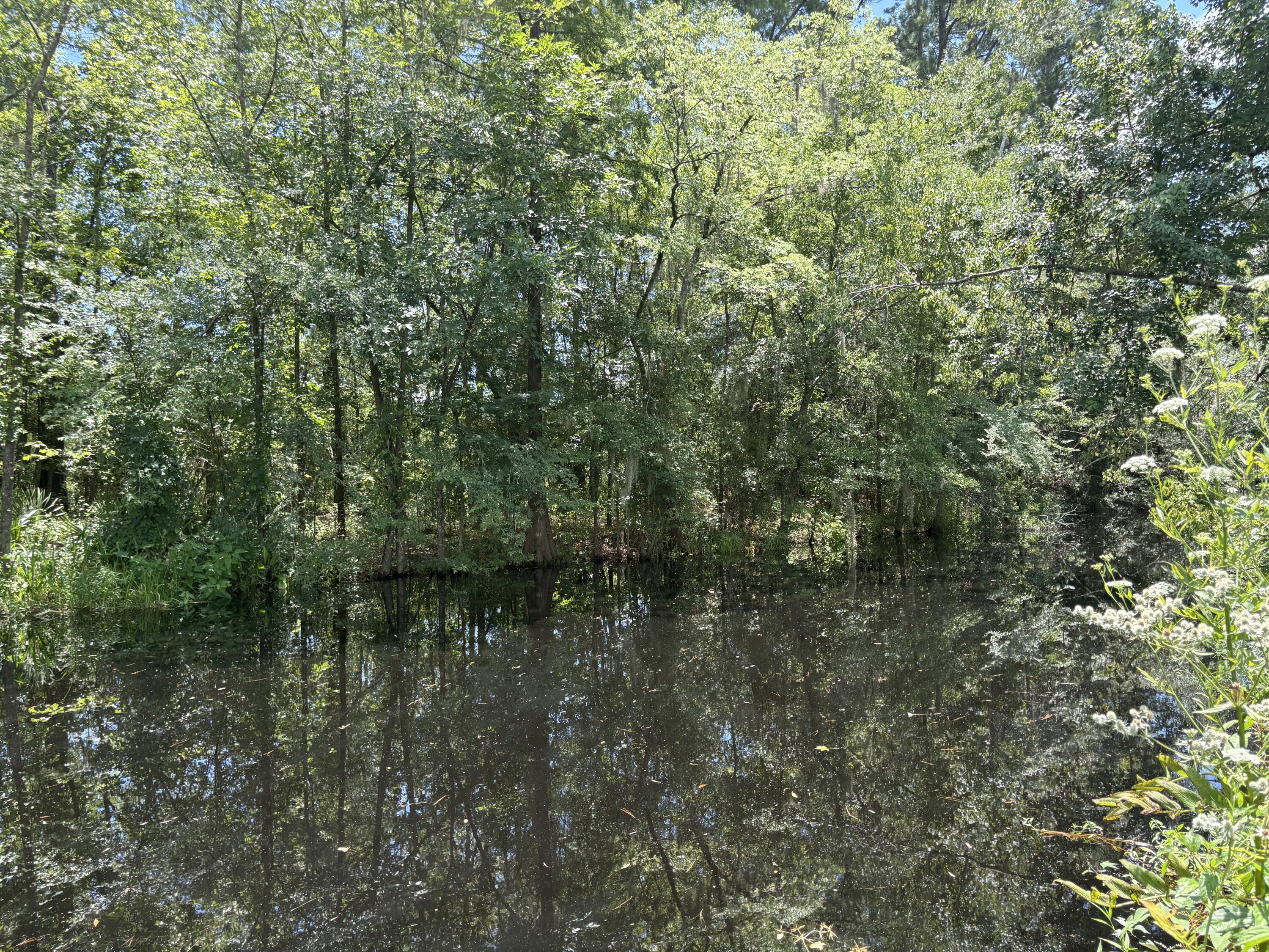 3345 Prices Bridge Lane Walterboro, SC 29488 - Photo 14 of 14 Waterfront view