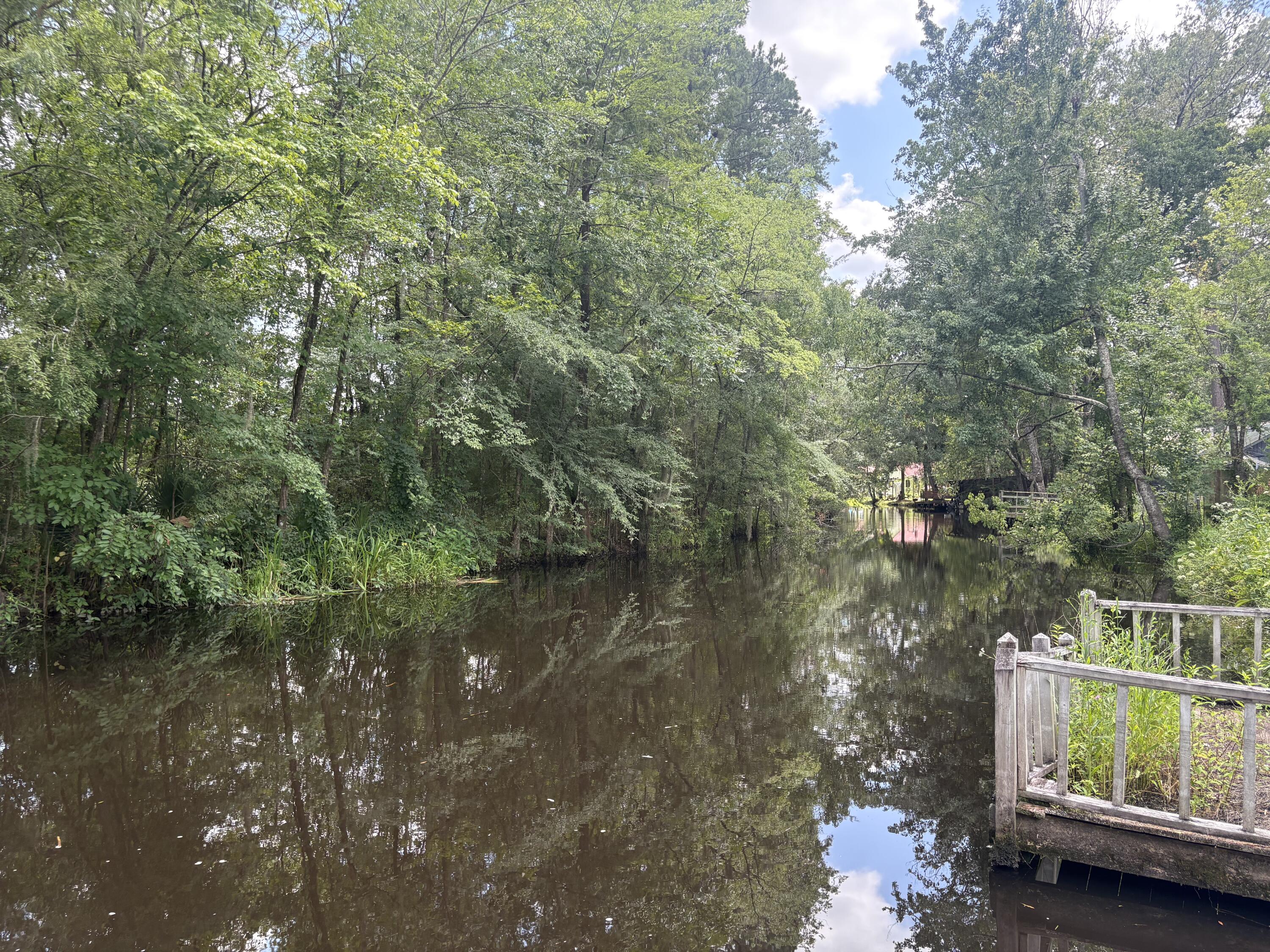 3345 Prices Bridge Lane Walterboro, SC 29488 - Photo 3 of 14 Water view