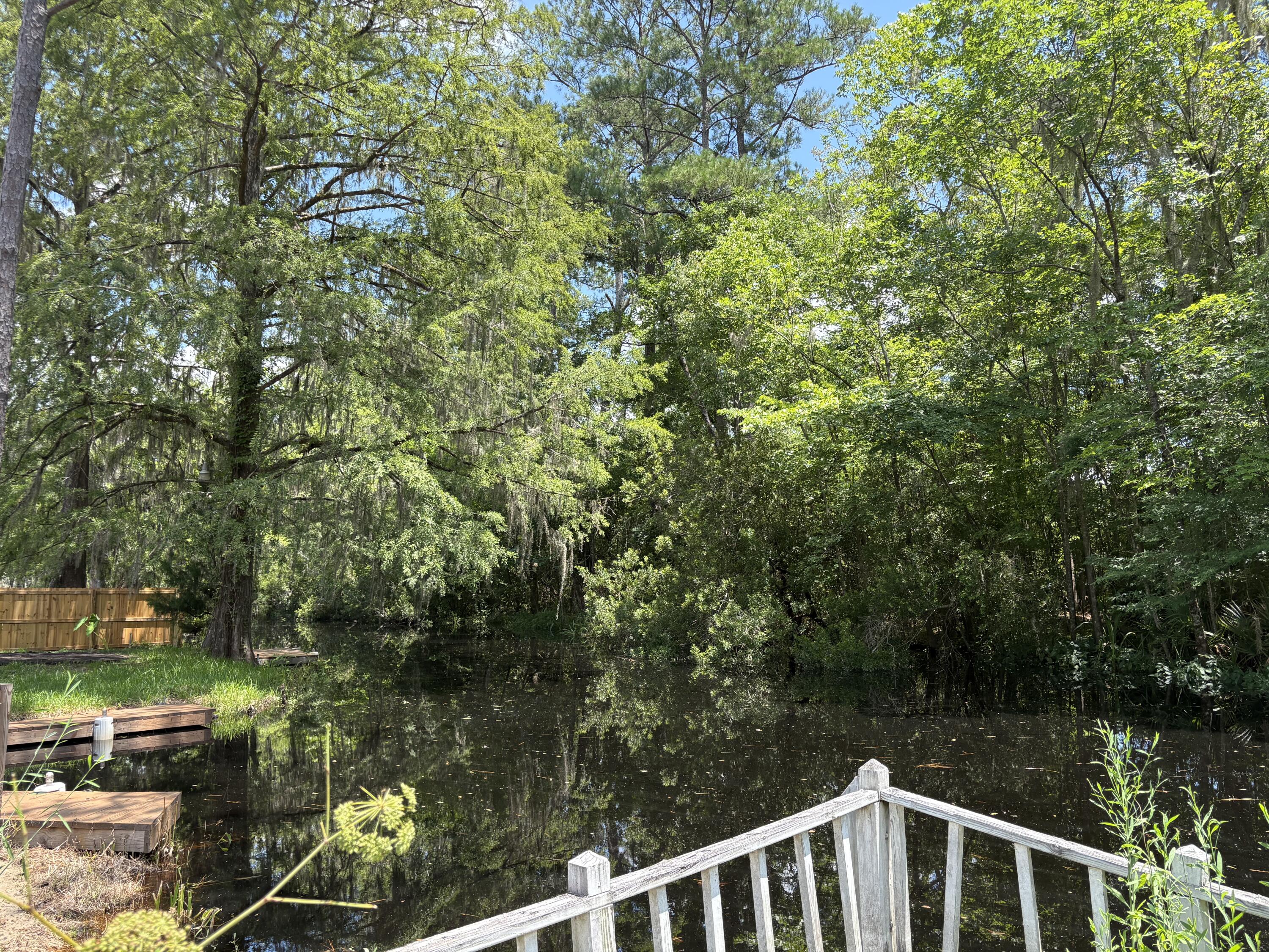 3345 Prices Bridge Lane Walterboro, SC 29488 - Photo 4 of 14 Waterfront view 3