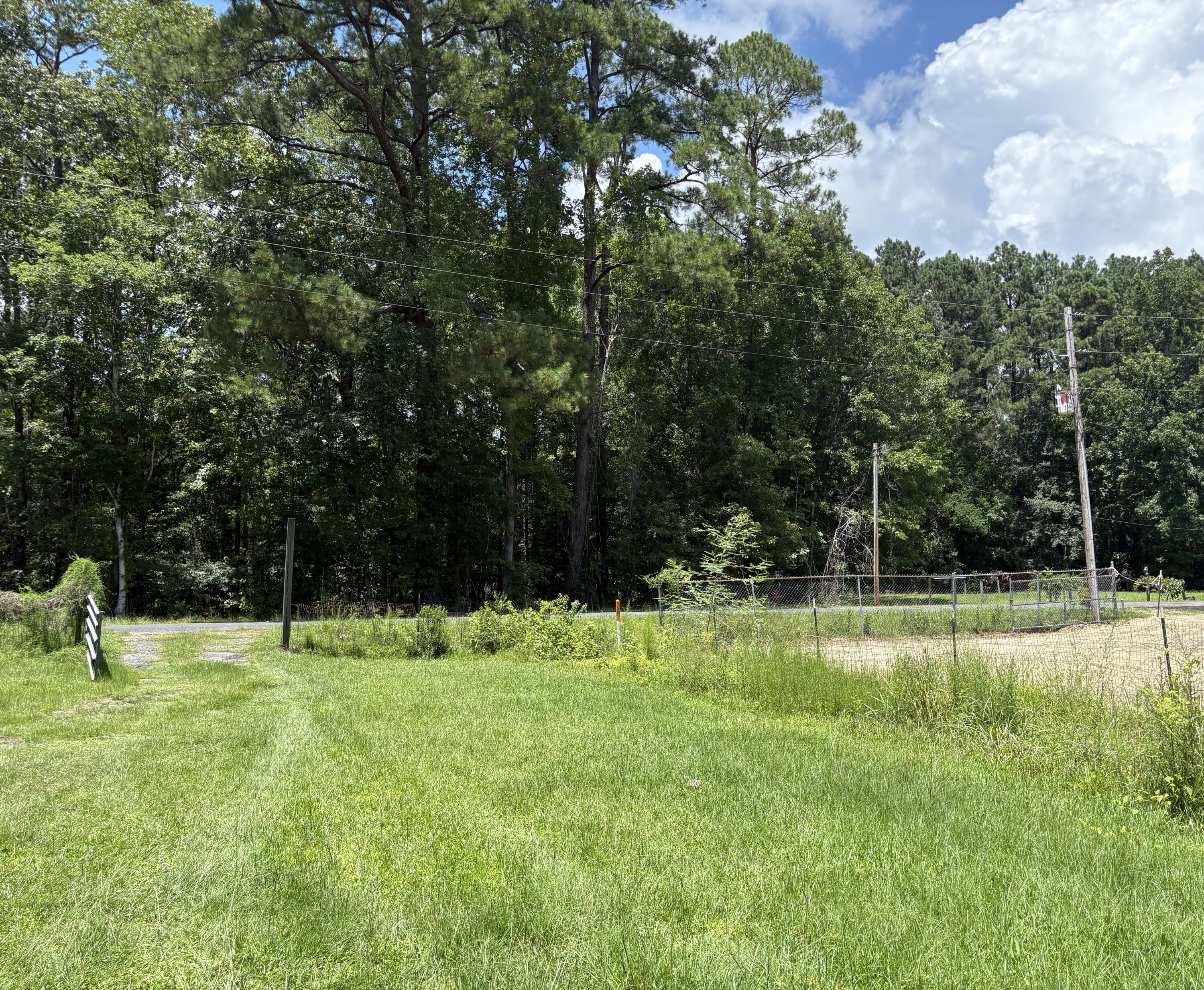3345 Prices Bridge Lane Walterboro, SC 29488 - Photo 5 of 14 Front yard
