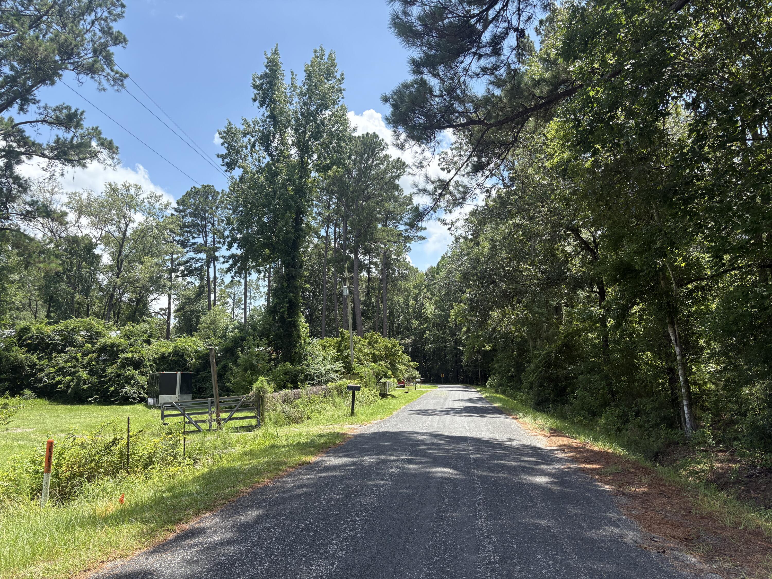 3345 Prices Bridge Lane Walterboro, SC 29488 - Photo 7 of 14 Road view 2