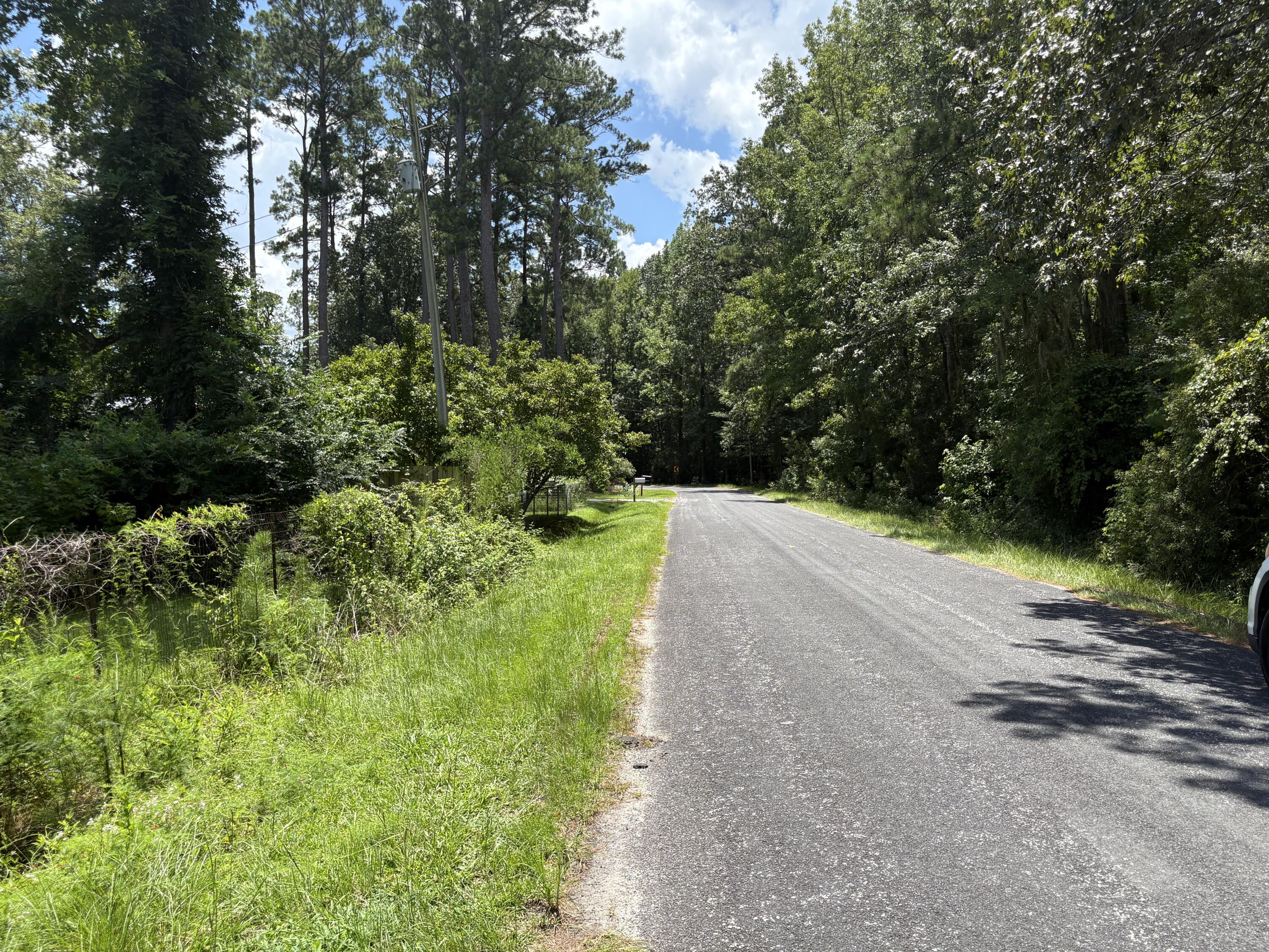 3345 Prices Bridge Lane Walterboro, SC 29488 - Photo 8 of 14 Road view
