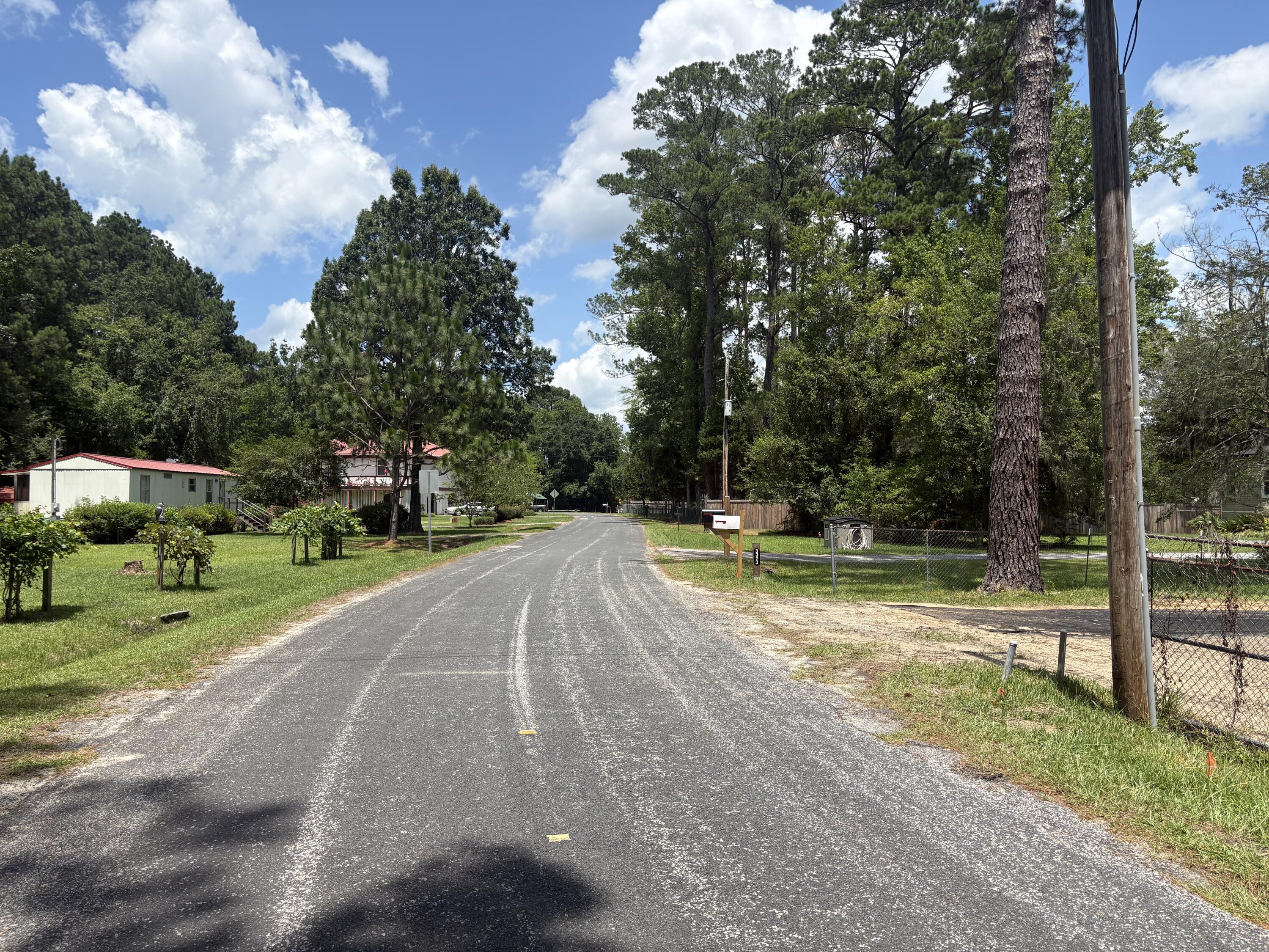 3345 Prices Bridge Lane Walterboro, SC 29488 - Photo 9 of 14 Road view 3
