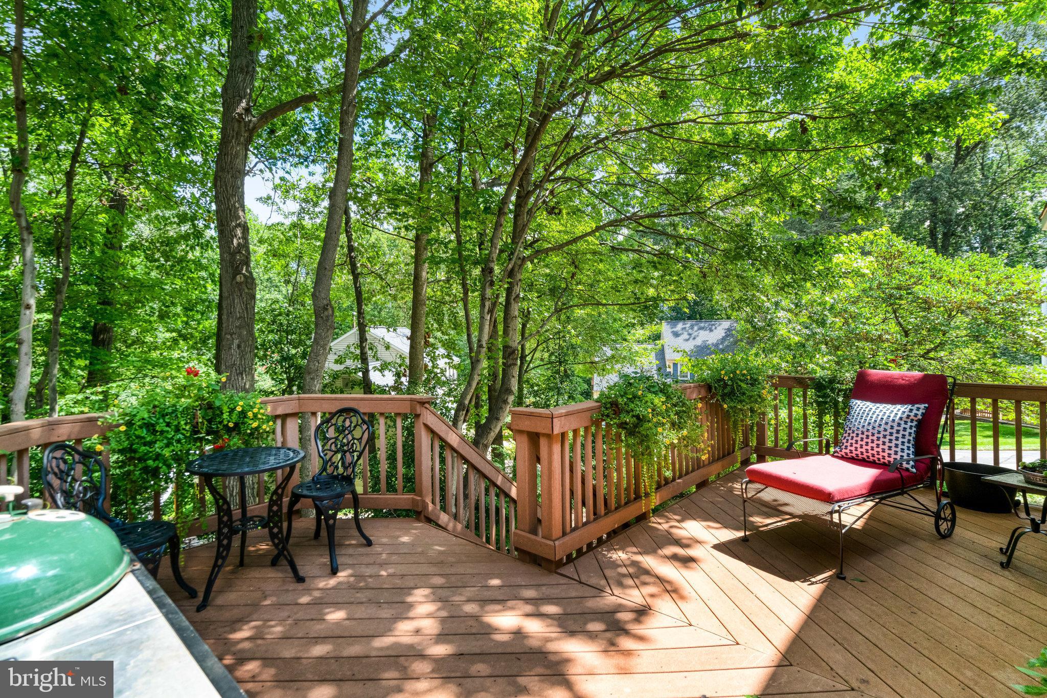 6815 Bluecurl Circle Springfield, VA 22152 - Photo 41 of 49 a view of a chairs and table in the patio