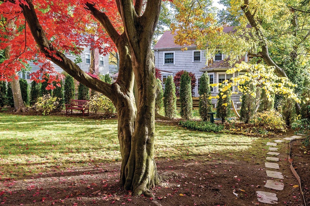 9 Puddingstone Road Brookline, MA 02467 - Photo 18 of 18 Gallery Image 18