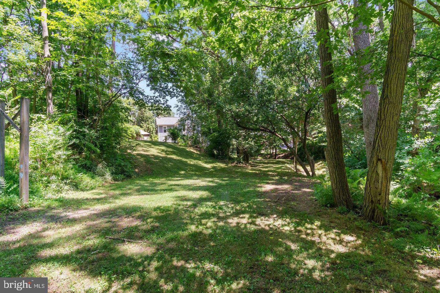 4312 Main Street Rohrersville, MD 21779 - Photo 45 of 58 a view of a tree in a yard