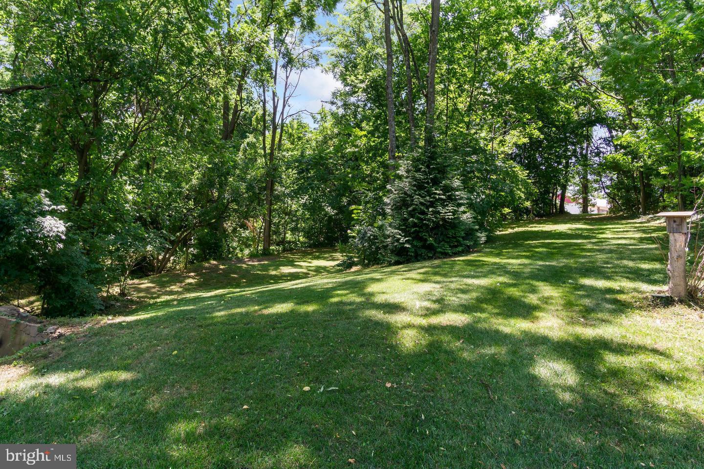 4312 Main Street Rohrersville, MD 21779 - Photo 48 of 58 a view of a yard with a tree