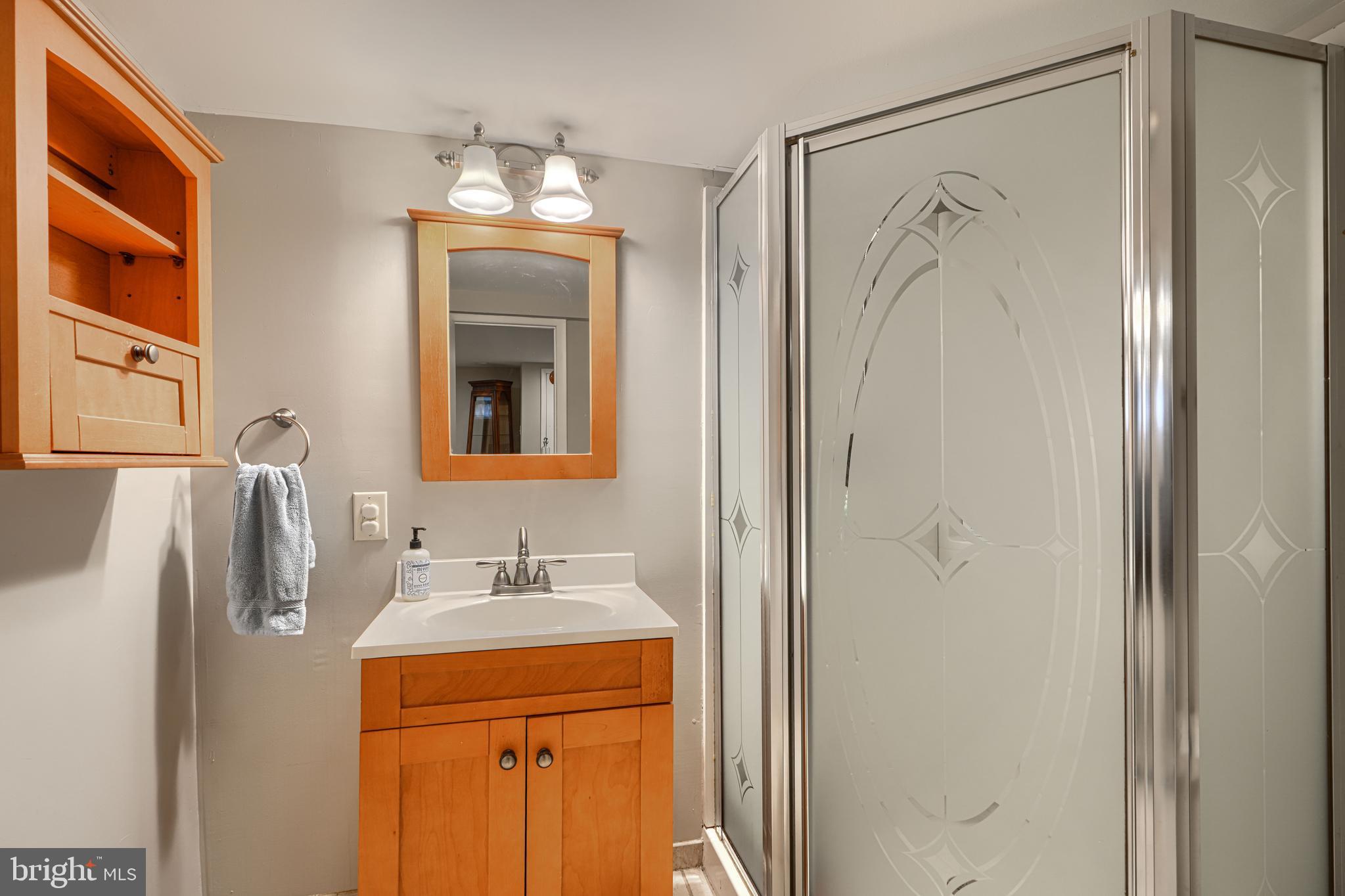 8132 Pleasant Plains Road Towson, MD 21286 - Photo 39 of 55 a bathroom with a sink a mirror and a shower