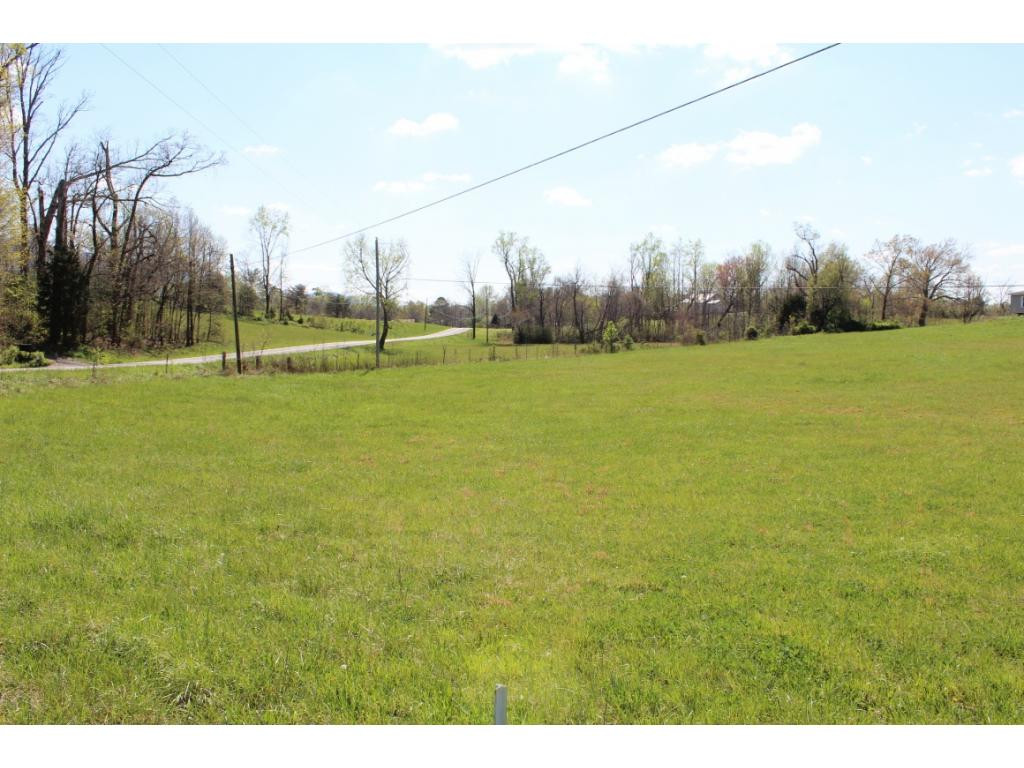 0 Richard Blake Road Greeneville, TN 37743 - Photo 35 of 36 Photo 35
