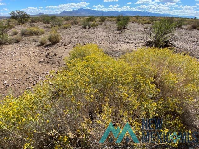 Tbd Tbd Caballos Road Rodeo, NM 88056 - Photo 38 of 46 View of undeveloped land featuring mountains