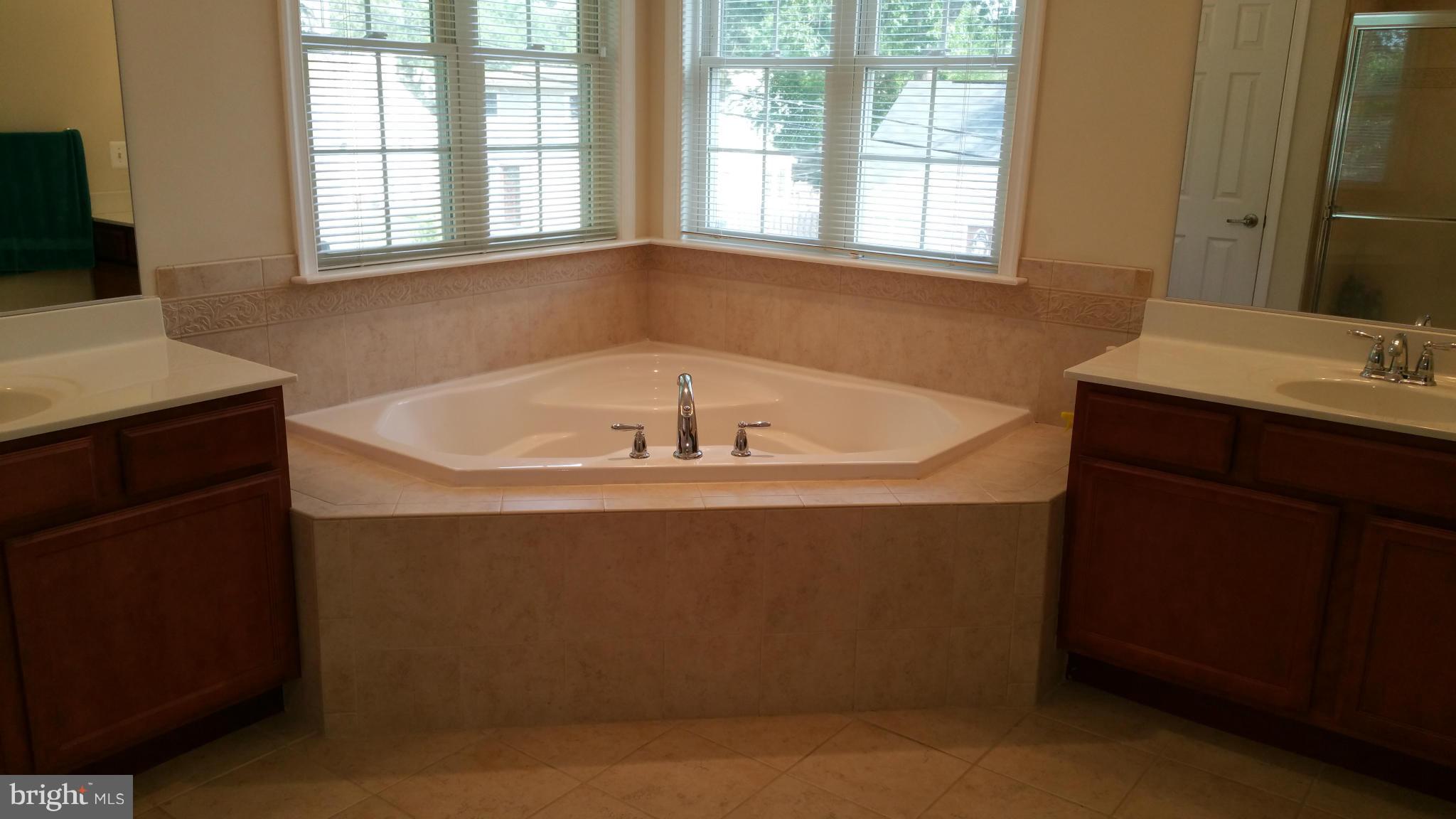 307 Riverside Drive Pasadena, MD 21122 - Photo 18 of 30 Bath (Master)