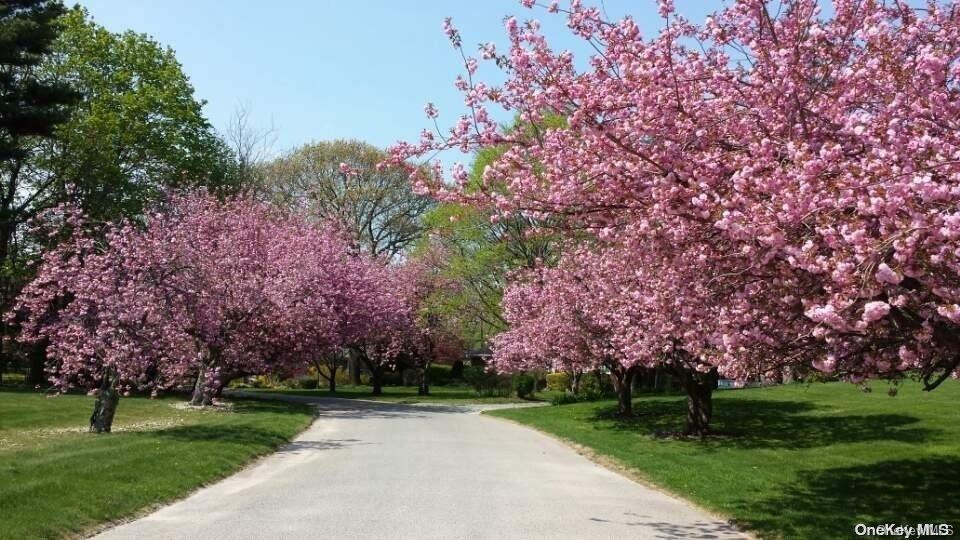 The Property in the Spring