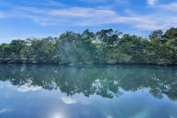 a view of a yard with a palm tree