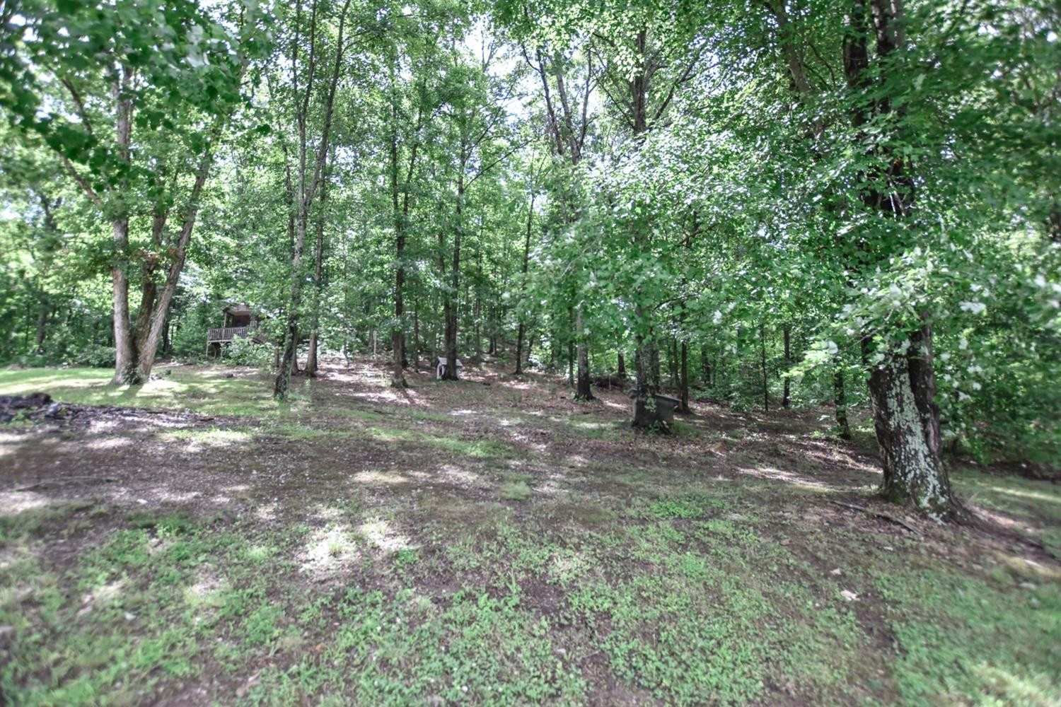 2459 Foster Branch Road Mount Sterling, KY 40353 - Photo 17 of 25 Photo 17