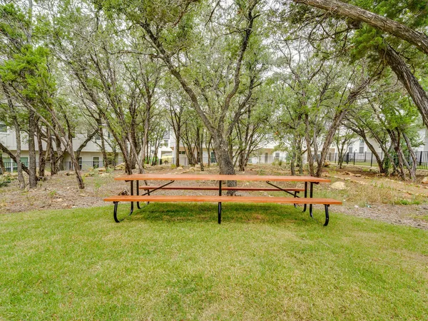 a park with lots of trees