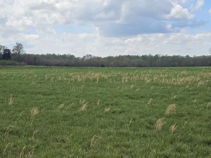 $199,999 | 0 McAfee Lane, Morrison, TN 37357