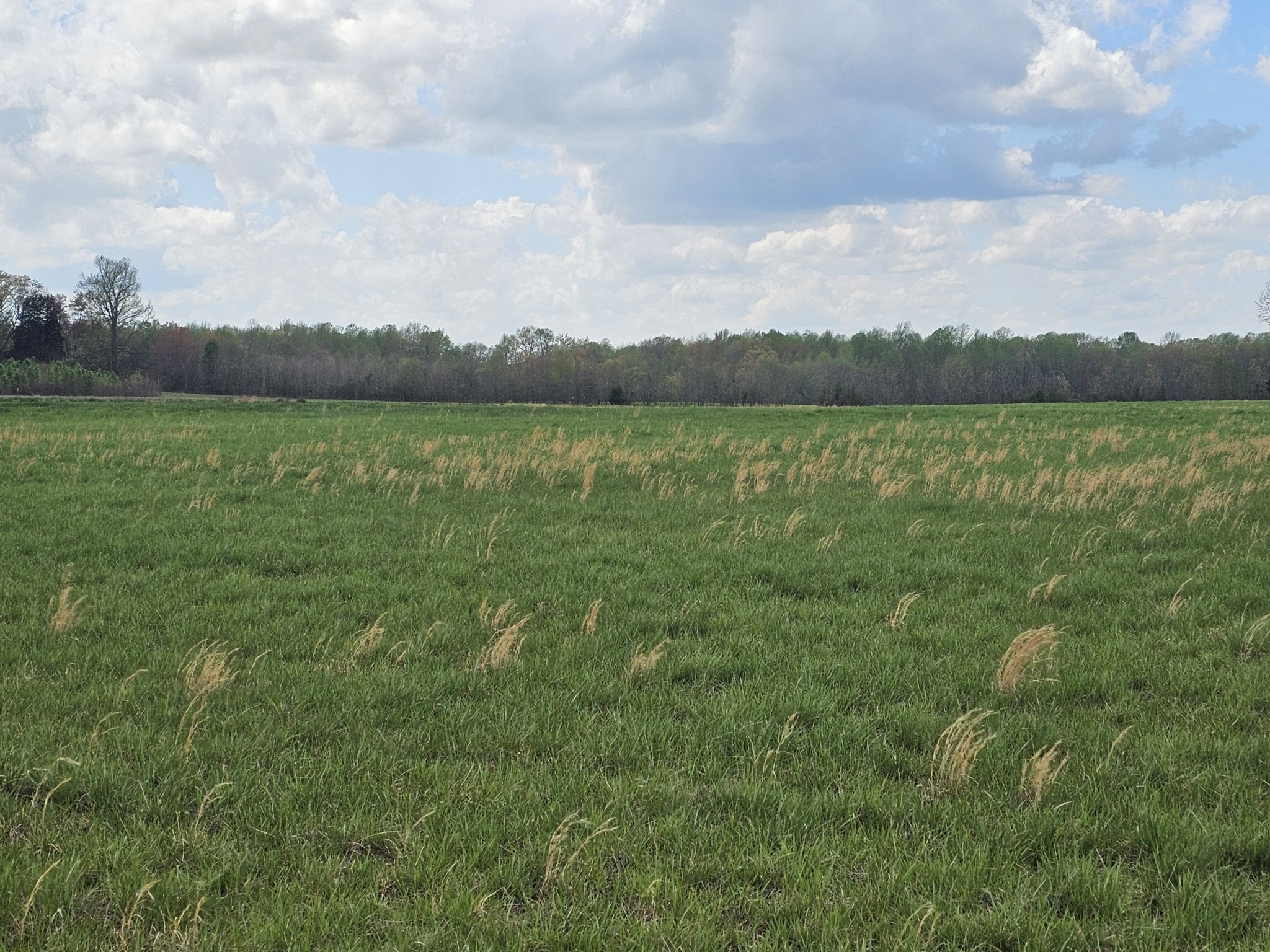 0 McAfee Lane Morrison, TN 37357 - Photo 3 of 3 a view of lake with mountain