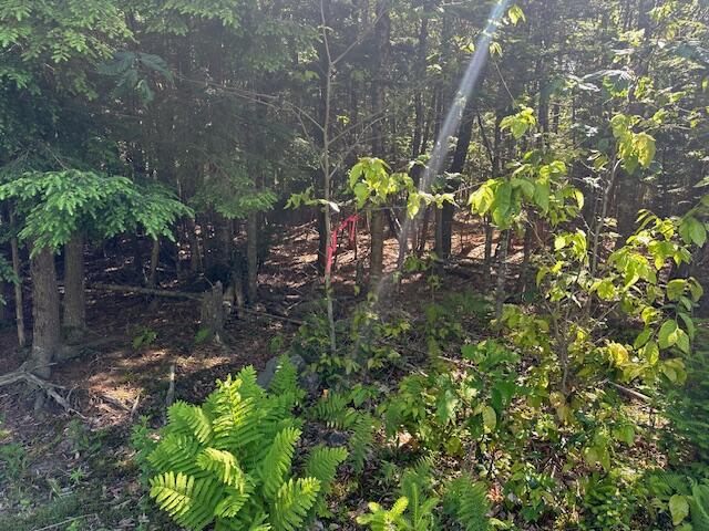 671 Stream Road Winterport, ME 04496 - Photo 32 of 47