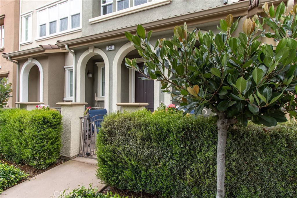 242 Sullivan Way Hayward, CA 94541 - Photo 1 of 1 a front view of a house with plants