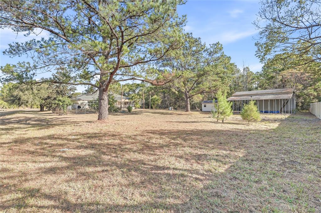 11040 Fulton Avenue Weeki Wachee, FL 34613 - Photo 58 of 77 a front view of house with yard and trees