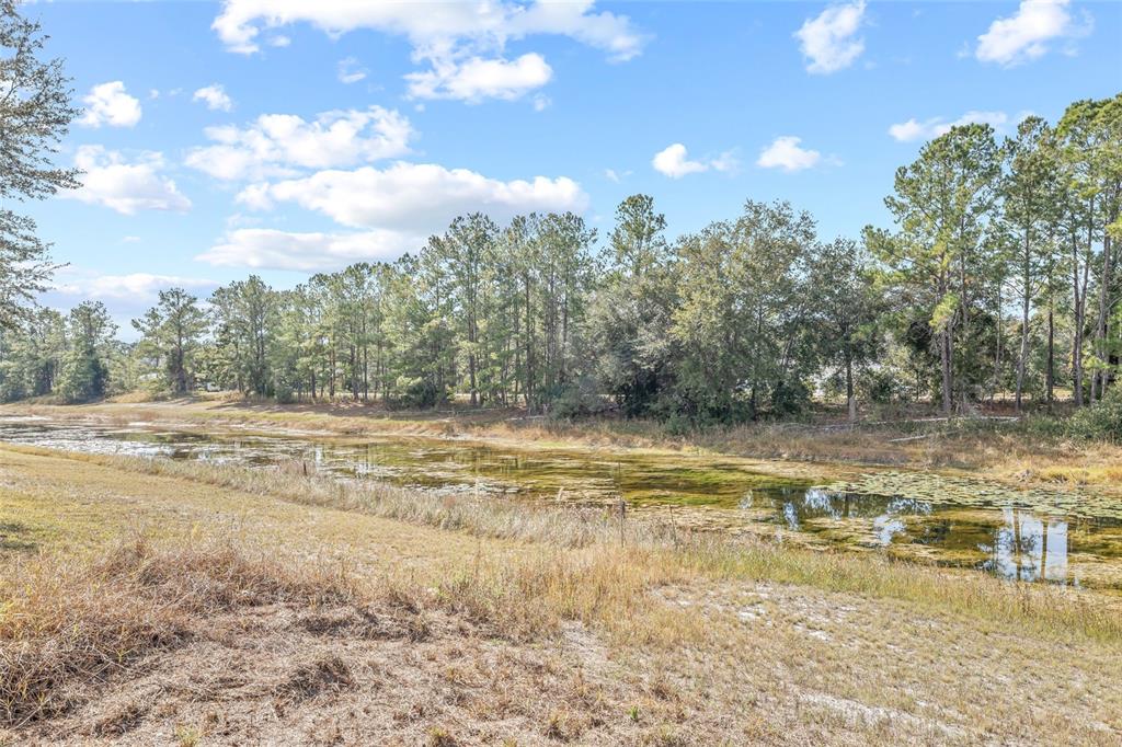 11040 Fulton Avenue Weeki Wachee, FL 34613 - Photo 60 of 77
