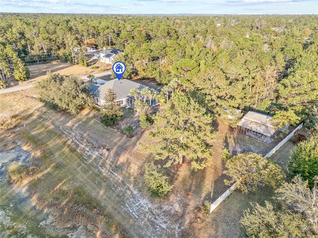 11040 Fulton Avenue Weeki Wachee, FL 34613 - Photo 69 of 77 a view of yard