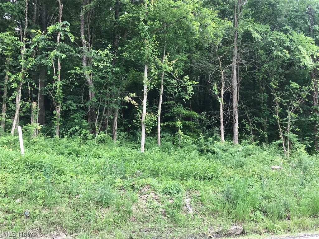6754 Blue Bell Road Cumberland, OH 43732 - Photo 2 of 4