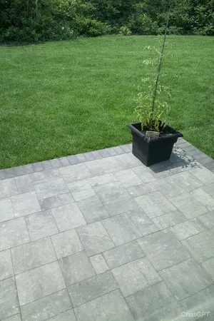 a view of a backyard with a garden