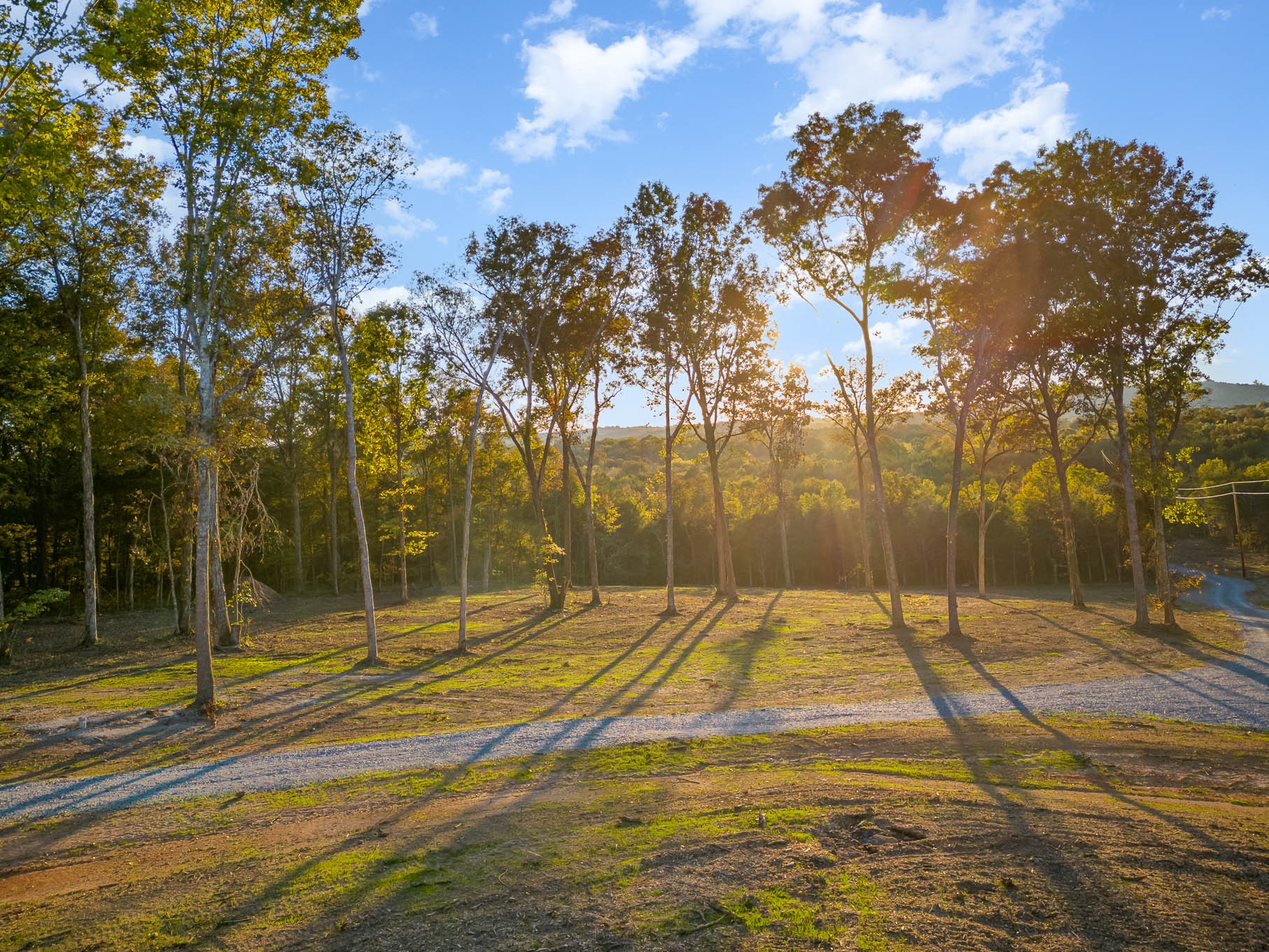 2091 Arthur Hardison Road Columbia, TN 38401 - Photo 1 of 29 a view of yard tennis court