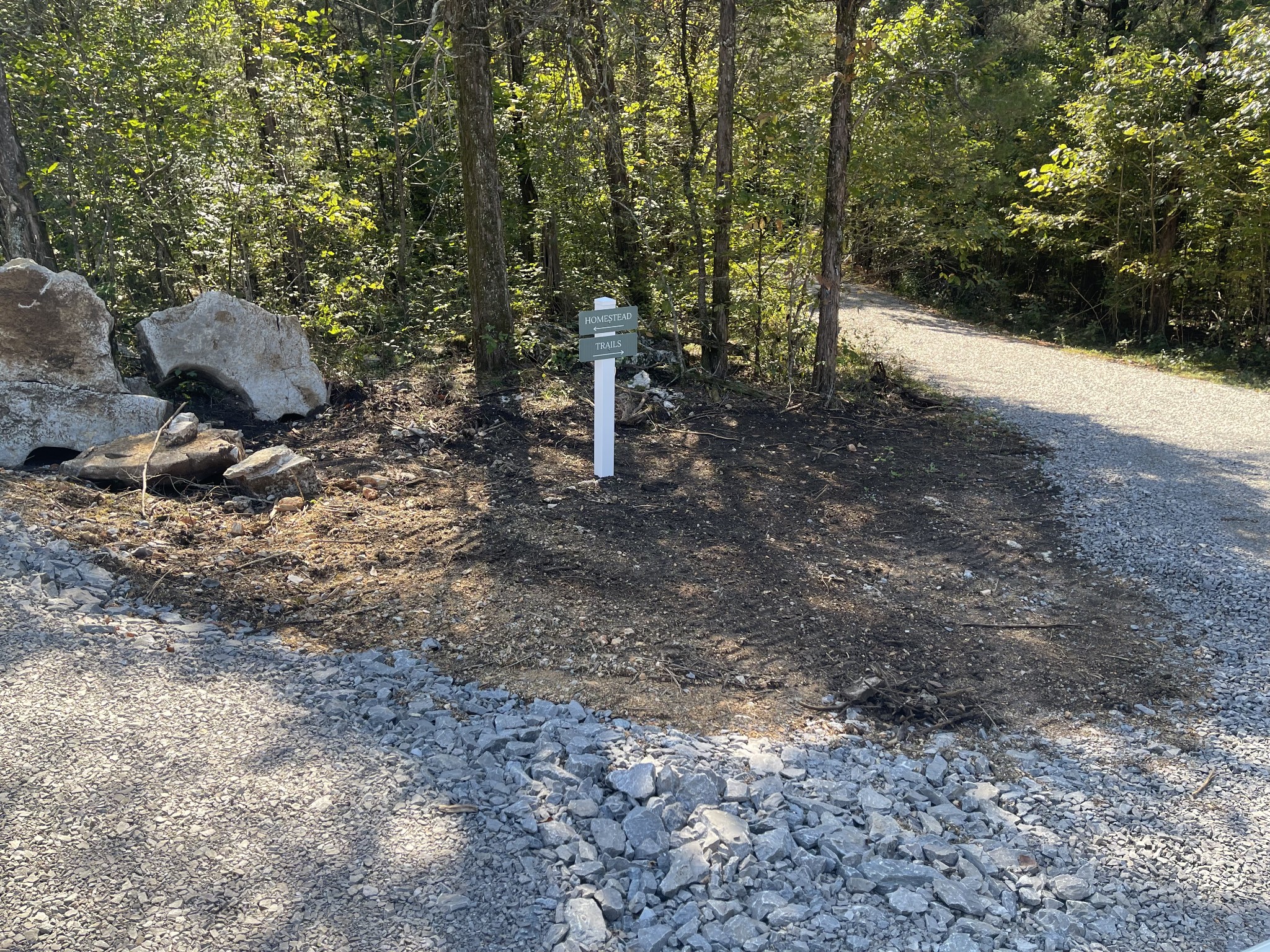 2091 Arthur Hardison Road Columbia, TN 38401 - Photo 12 of 29 a view of a forest with trees