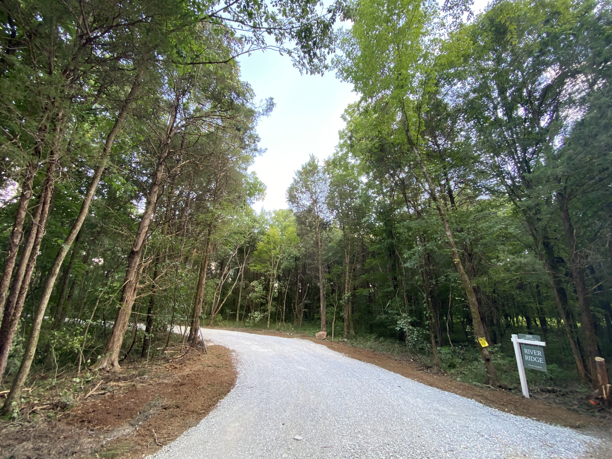 2091 Arthur Hardison Road Columbia, TN 38401 - Photo 20 of 29 a view of backyard with green space