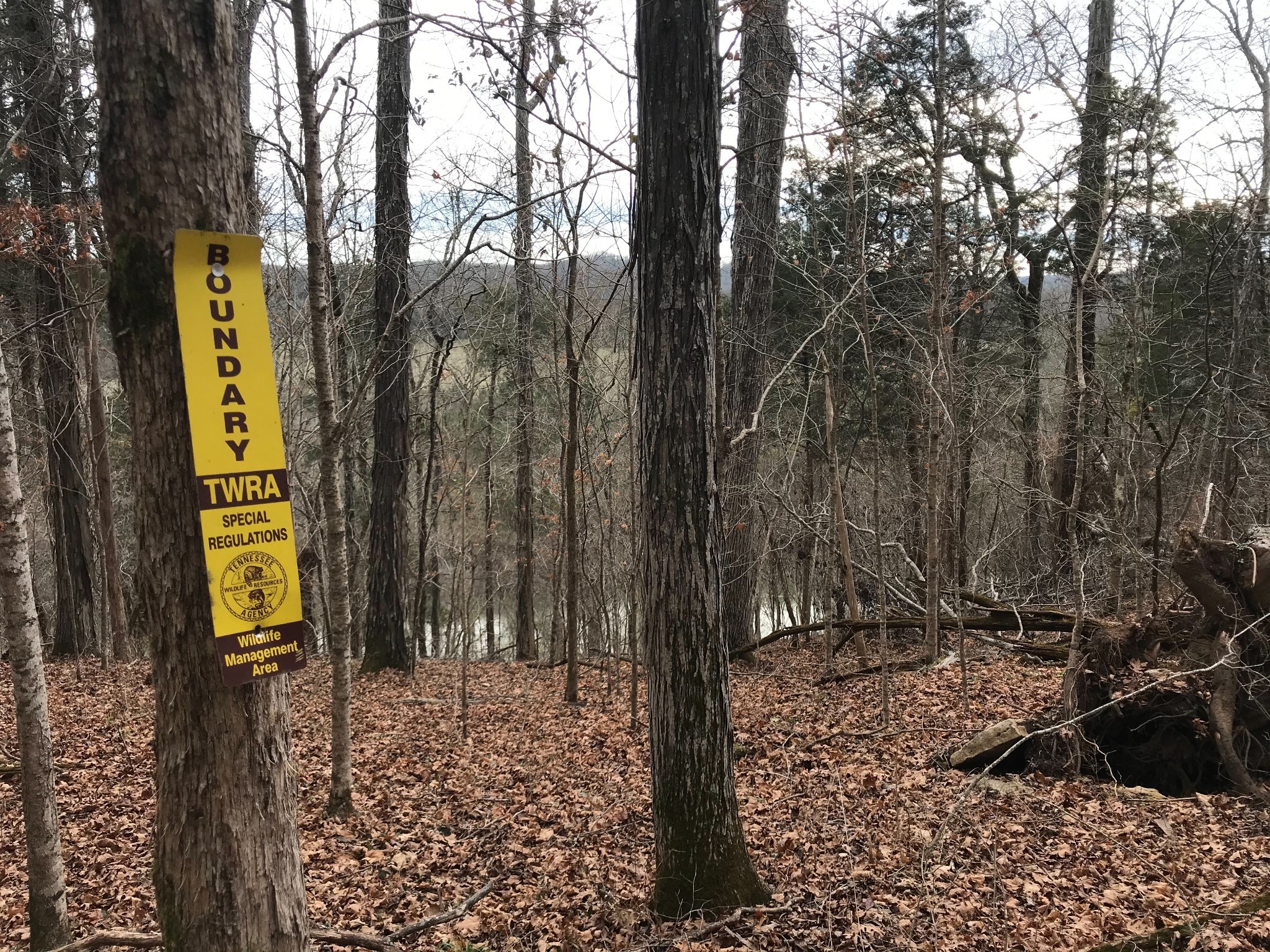 2091 Arthur Hardison Road Columbia, TN 38401 - Photo 27 of 29 a view of a park that has large trees